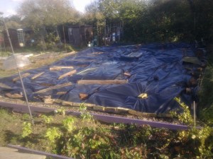 next door now covered