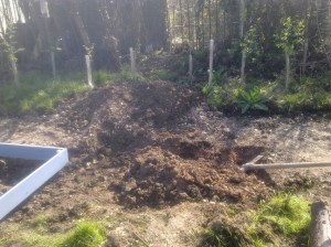 digging mess