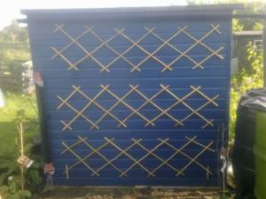 latest project - the achocha wall