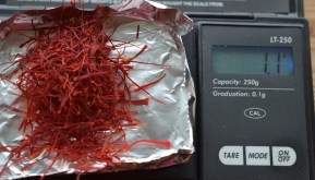 saffron harvest year 2