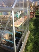 greenhouse damage