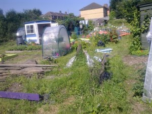 Plot area to be worked in autumn