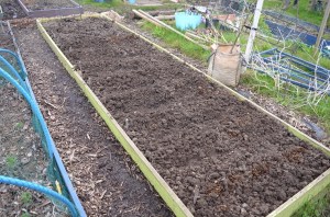 Dunluce bed 13 April 2016