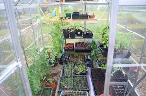 greenhouse May 2016