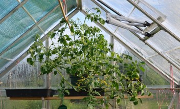 100s and 1000s June 2016