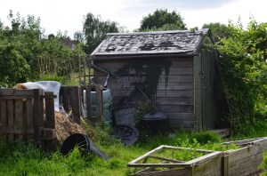 vandalised shed 2